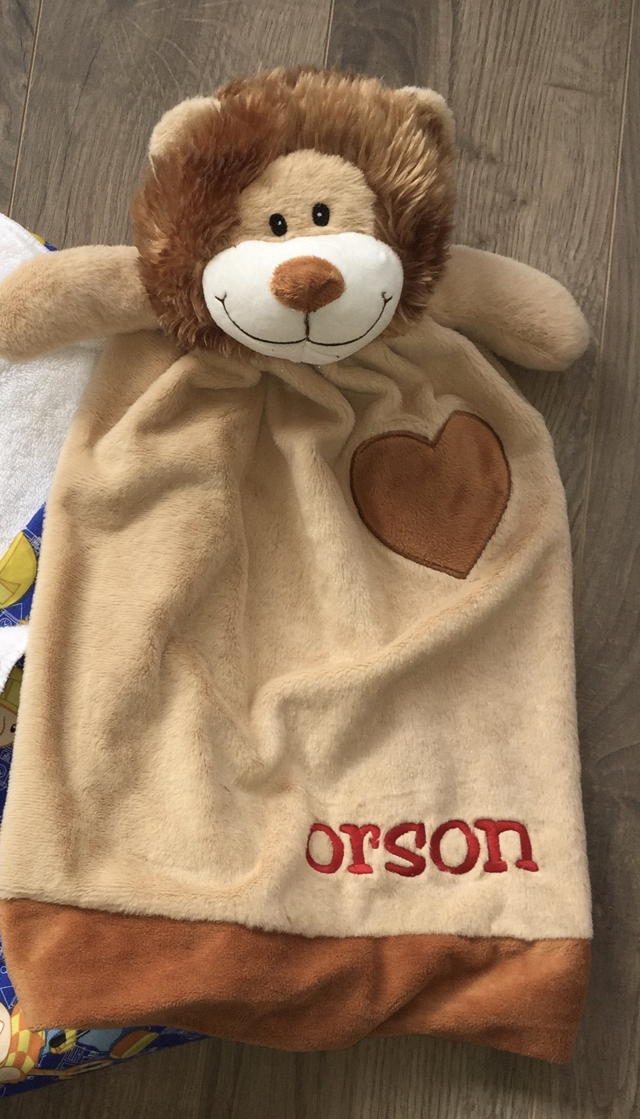 Kid's Lion Animal Blanket